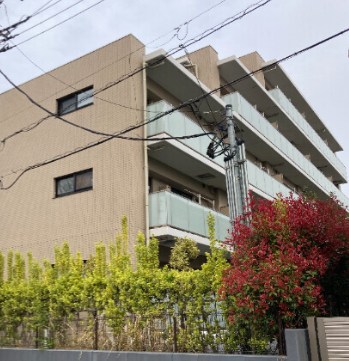 マリンルージュ浦安 203号室 外観