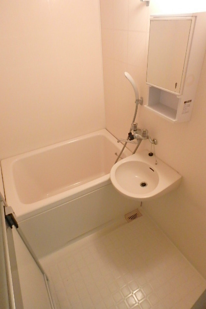 ドムスシーハイル     風呂画像