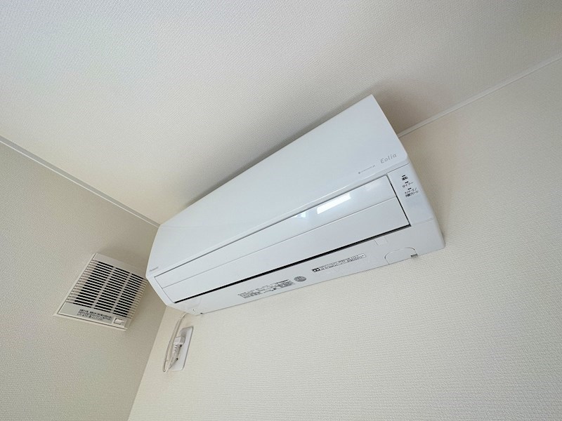 サングレイス  その他2