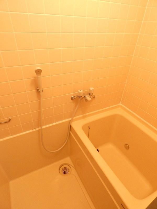 ＮＡＧＡＯ　ＢＬＤＧ． 風呂画像