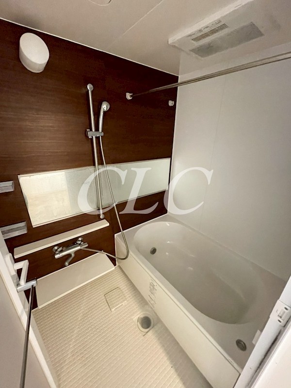 片岡ビル  風呂画像