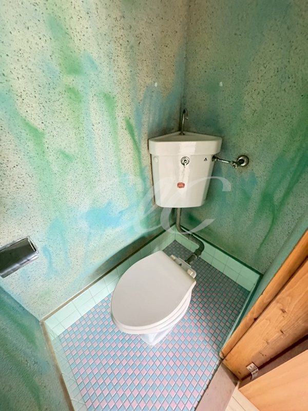 綾瀬パークハイツ その他1