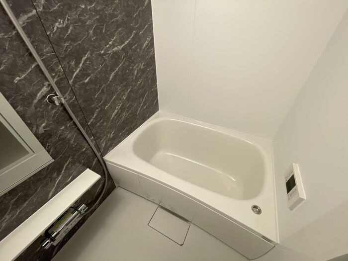 ルリアン綾瀬Ⅱ 風呂画像