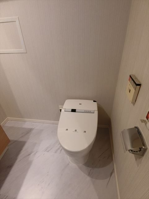 カスタリア銀座Ⅲ その他1