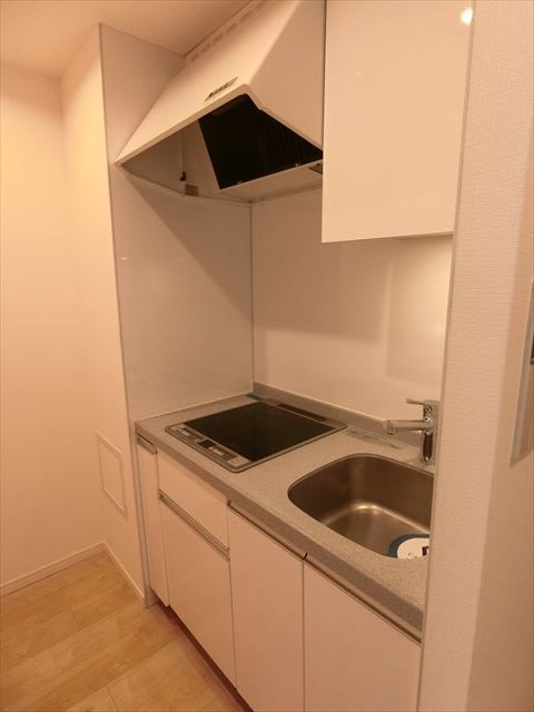 カスタリア銀座Ⅲ キッチン