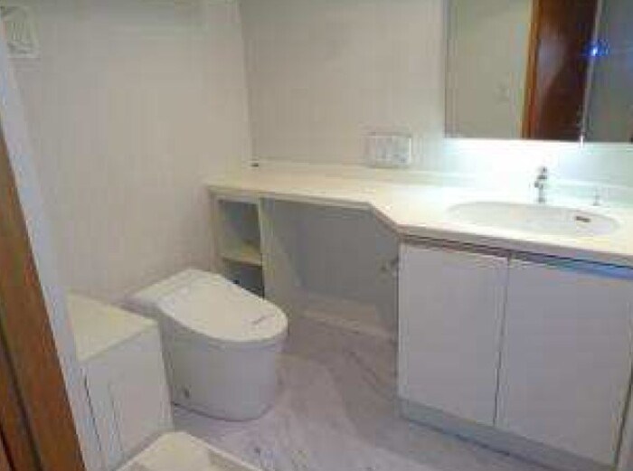 カスタリア銀座Ⅲ その他2