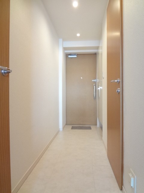 カスタリア銀座Ⅲ 玄関