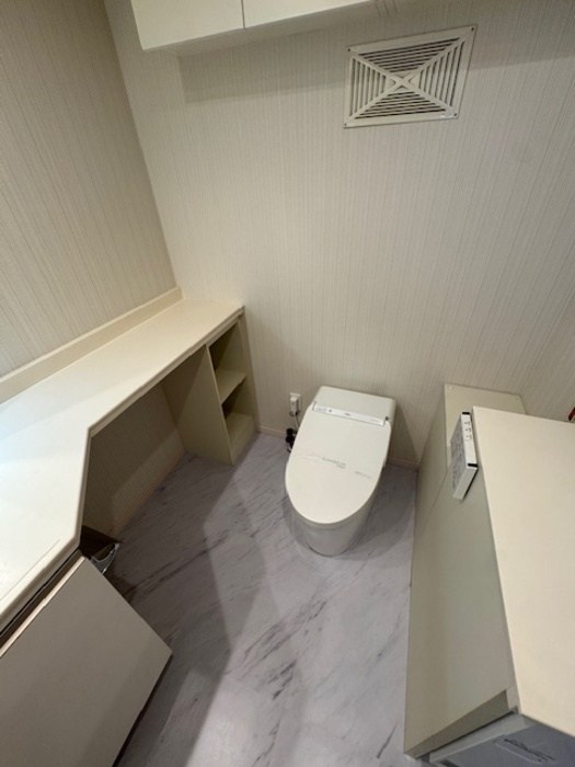 カスタリア銀座Ⅲ その他1