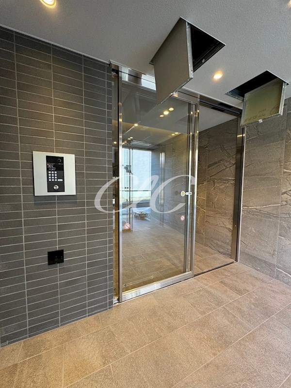 ステラフォレスト その他2