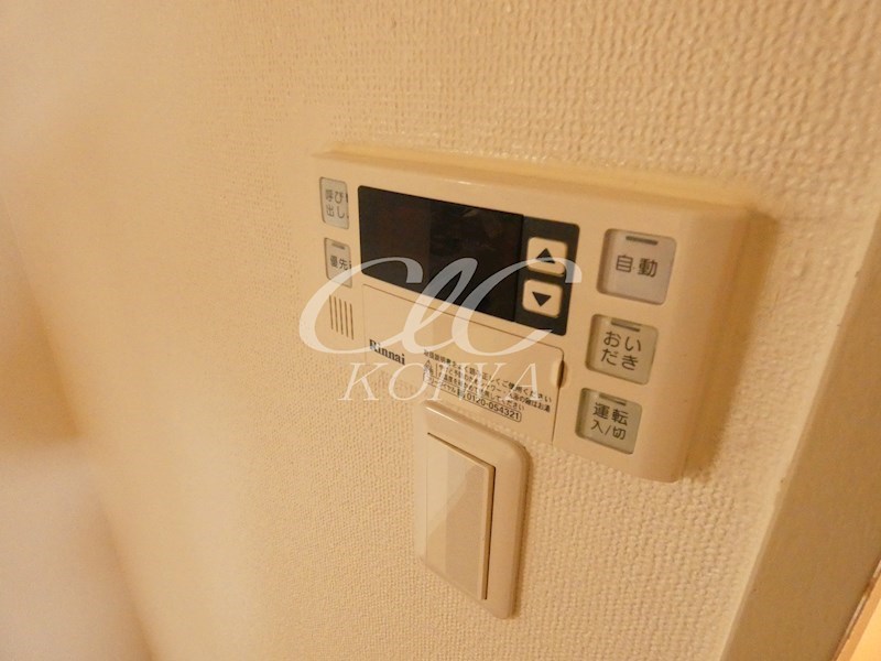 マノワールアズマ その他5