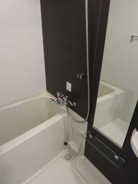 エステムプラザＴＯＫＹＯ　ＲＩＳＥ  風呂画像