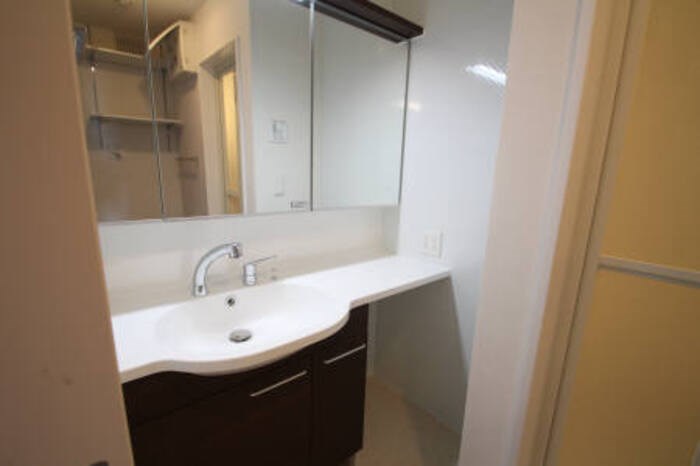 シトロンフレアⅢ その他2