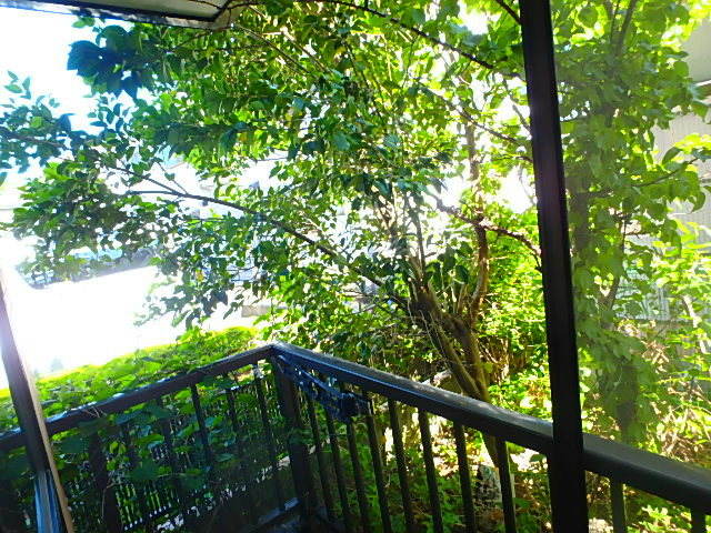 ロワジール その他3