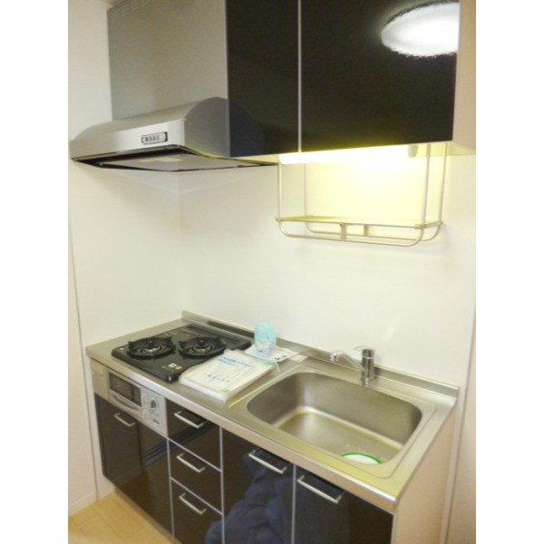 スターライトパレスⅢ キッチン