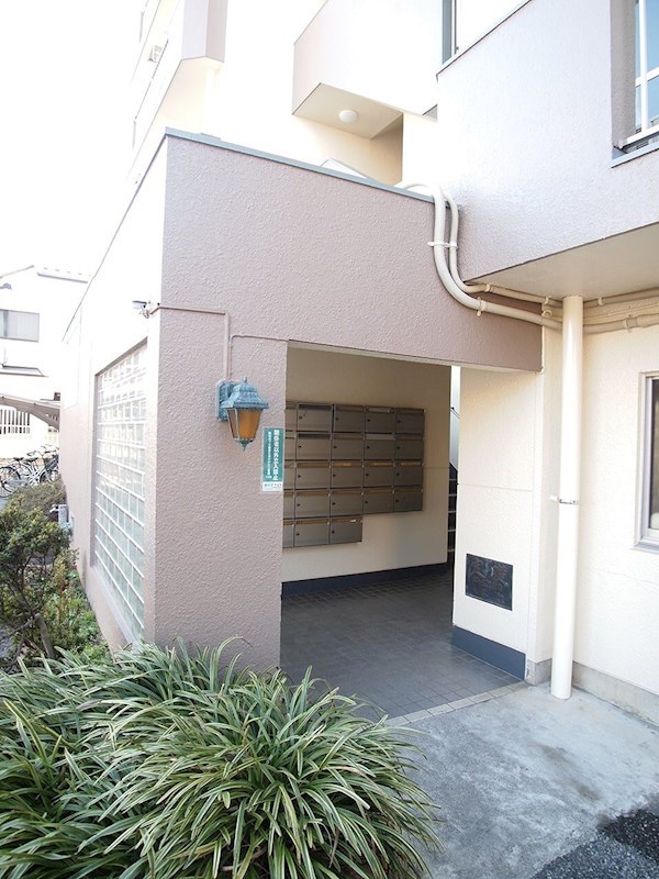 コートアオイ その他1