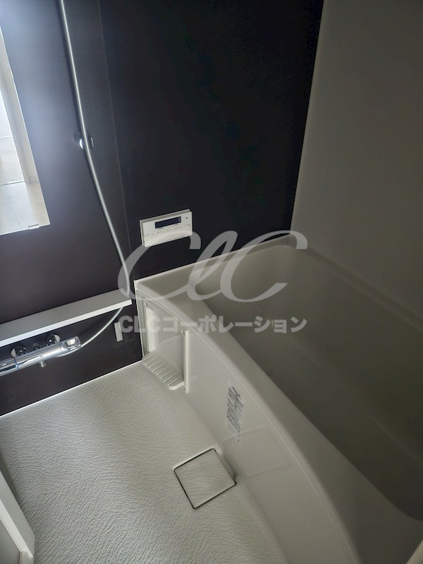 カルムメゾン丸山   風呂画像