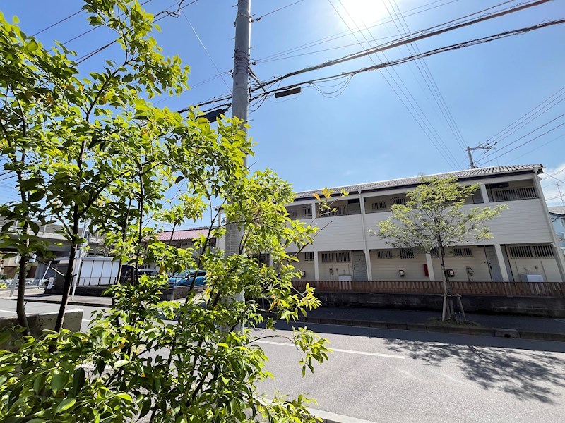 Woodrow house その他5