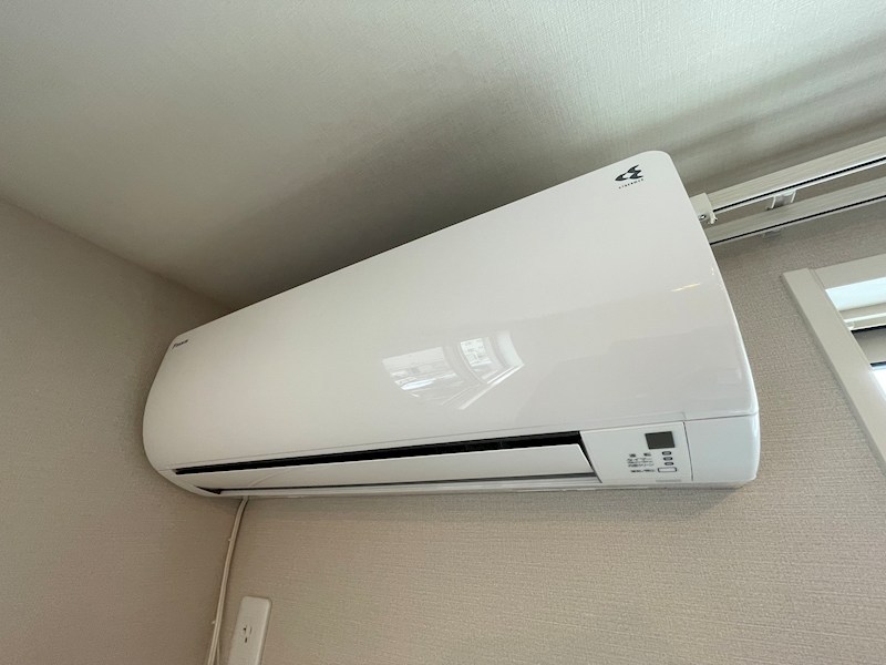 Bonnie Alba その他1