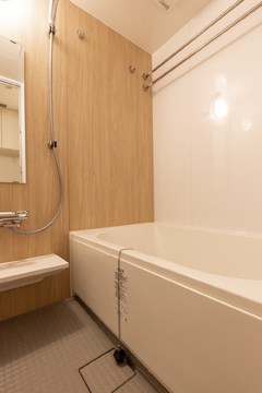 バウスフラッツ日本橋浜町 風呂画像