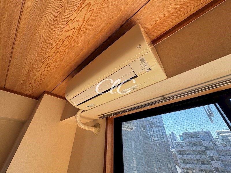 ハオスローレライ その他8