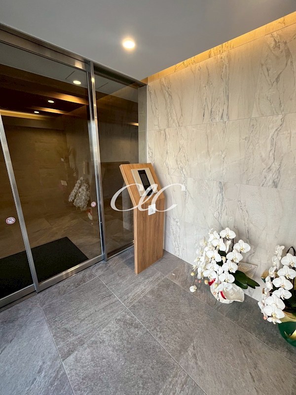 エスペランサ７ その他14