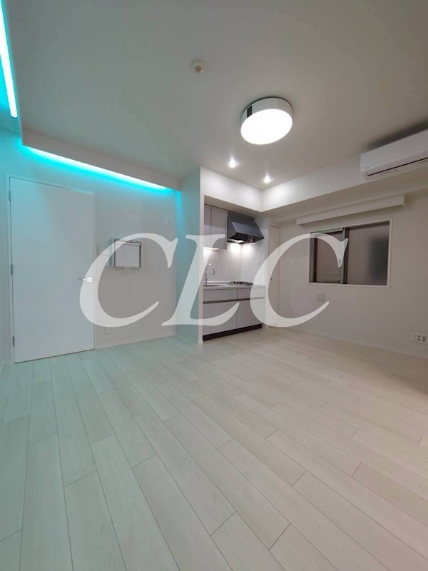 ラグジュアリーアパートメント三ノ輪   その他21