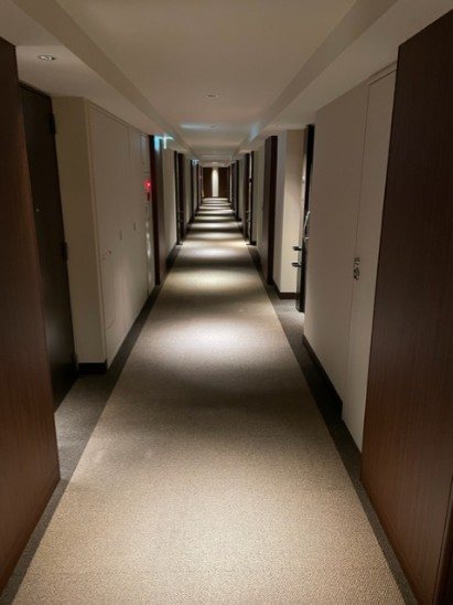 ブランシエラ東京三ノ輪 玄関