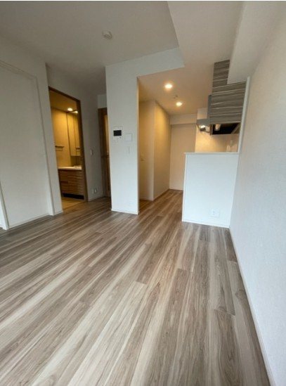 ブランシエラ東京三ノ輪 リビング