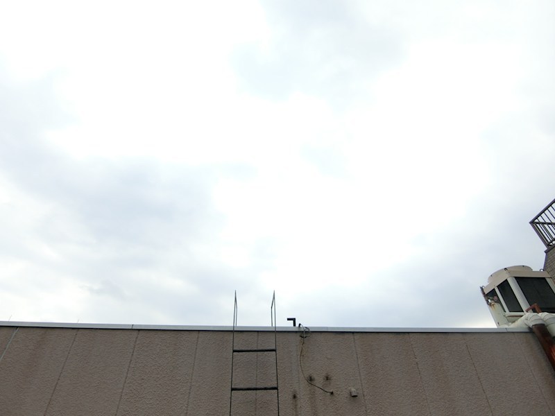 パストラル その他7