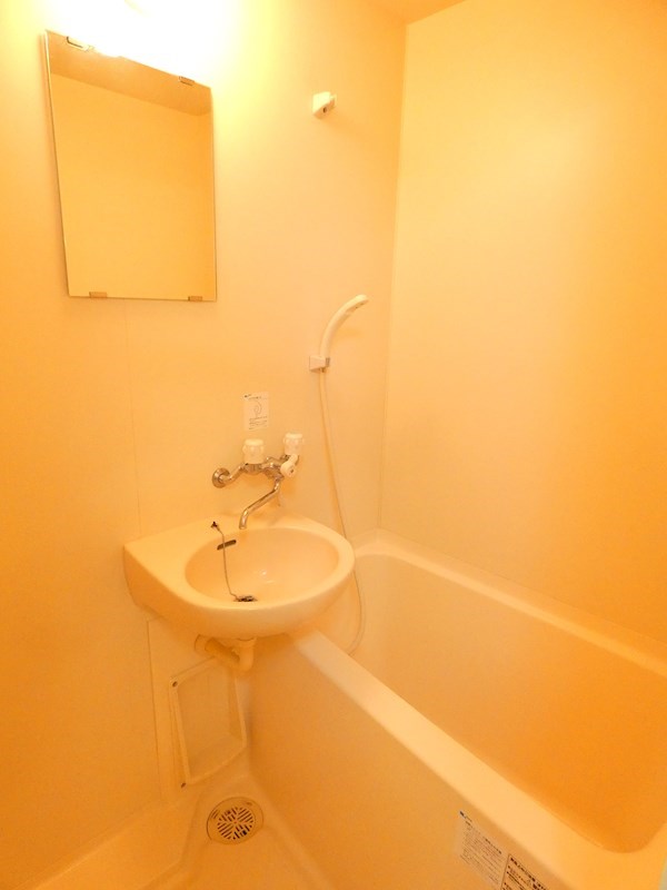 ラクダ 風呂画像