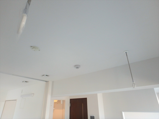 マーシスマルル その他20