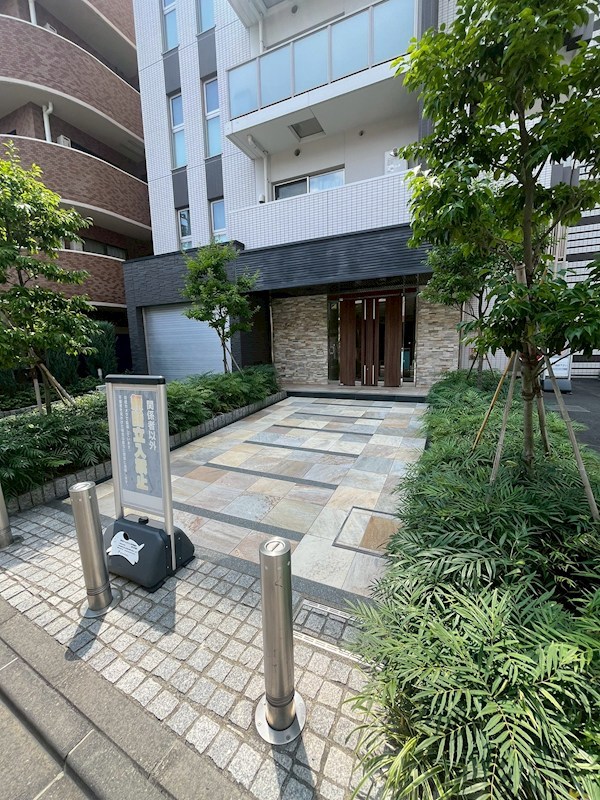 マーシスマルル その他5