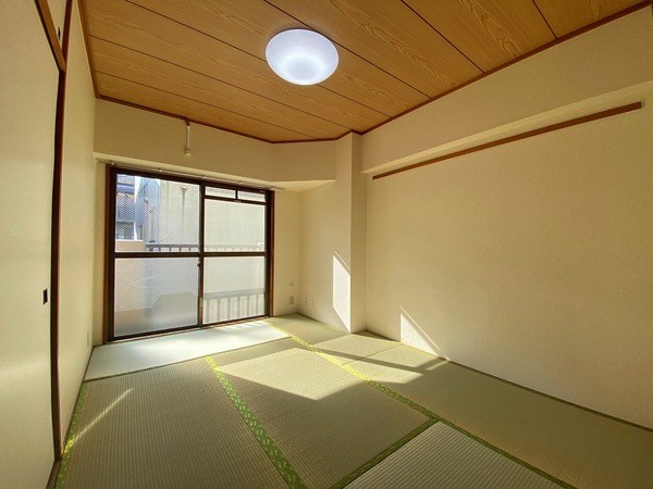 シンシアリー その他4