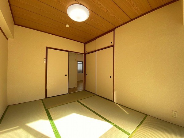 シンシアリー その他17