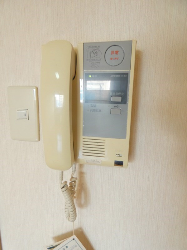 ラクダ その他2