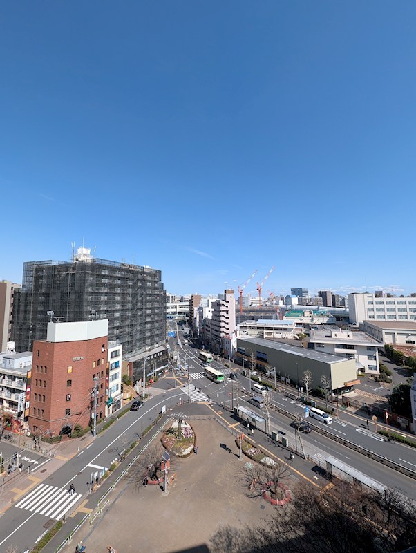 ステラテラス その他5