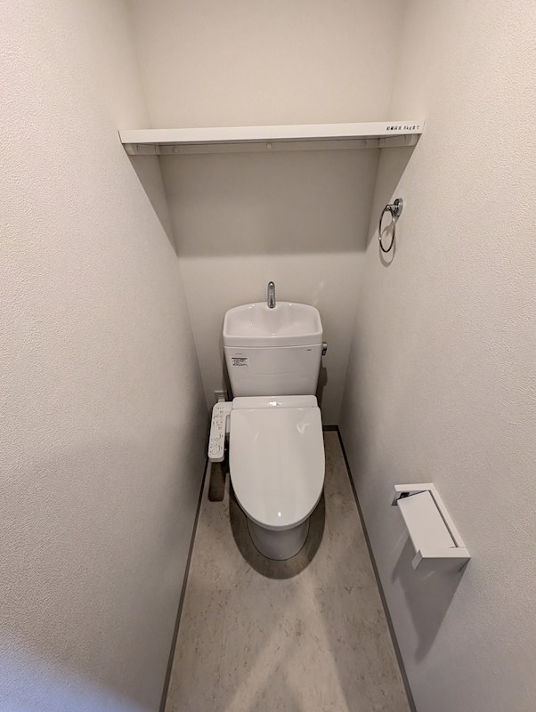 ステラテラス その他3