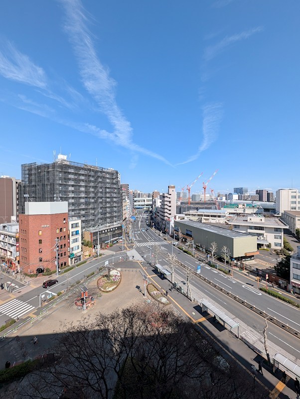 ステラテラス その他3