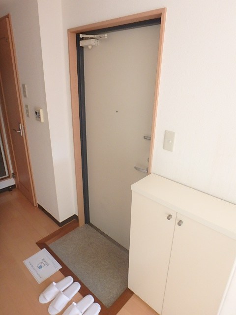 リュミエール錦糸 玄関