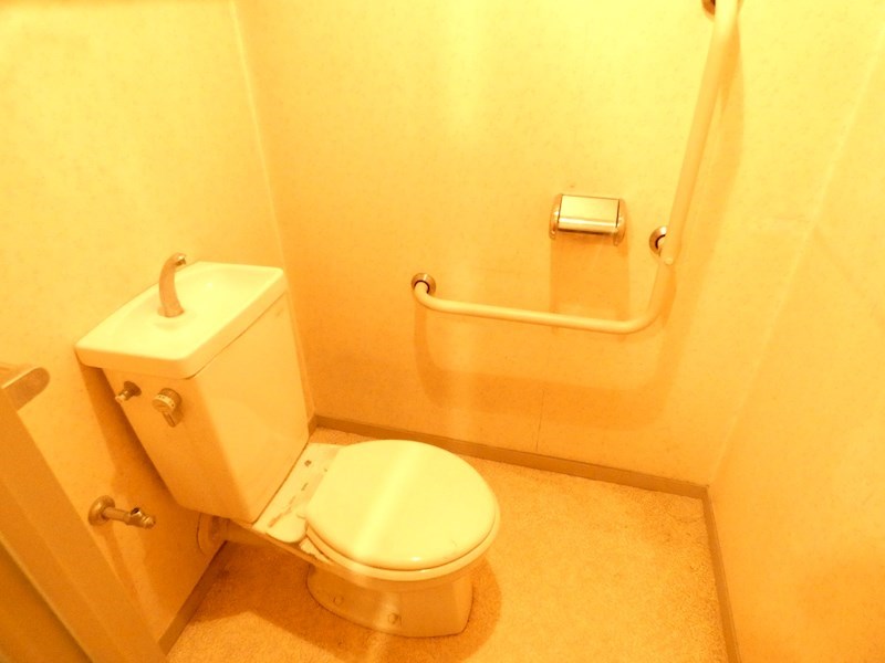 ウィル・モトキ その他1