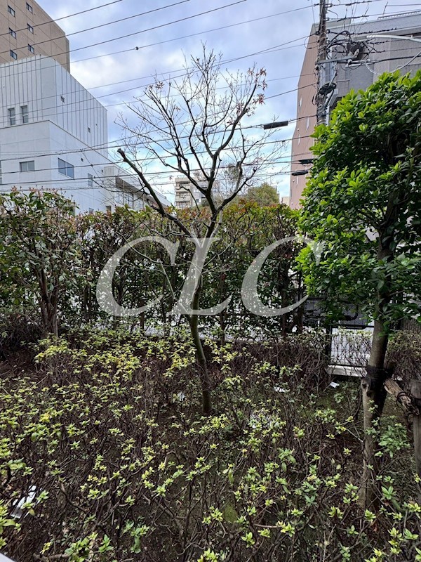 ヴェルディーク浅草 その他5