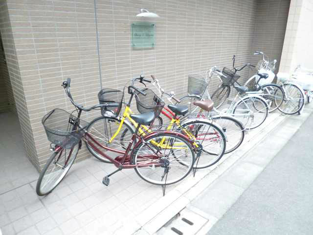 チェリスト石山  その他2