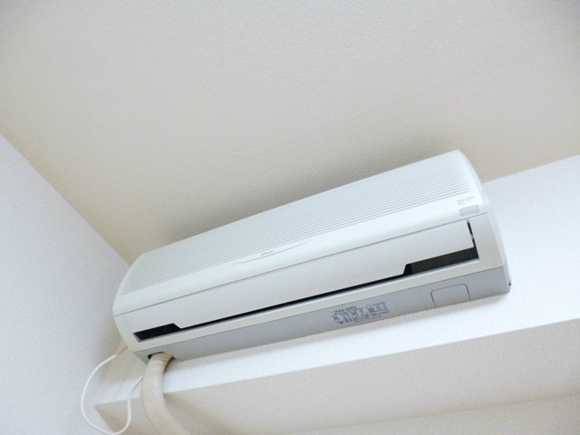 チェリスト石山  その他4