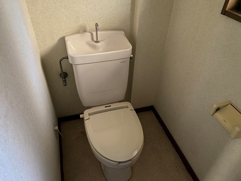 アムールサクライ その他1