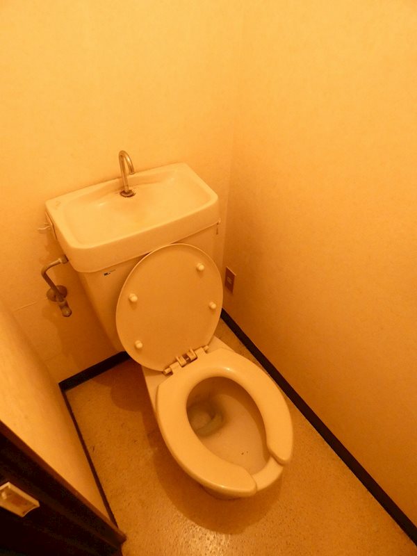 ロイヤルパール   その他1