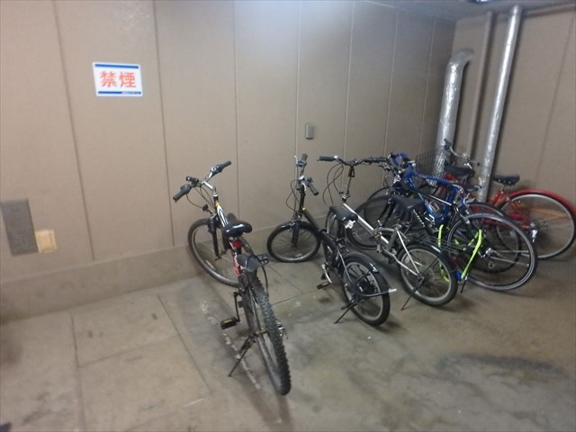 ベルドミール王子 その他6