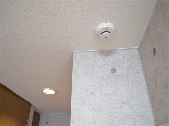 ベルドミール王子 その他11