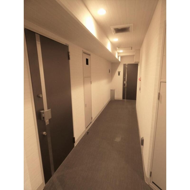 フェルクルールプレスト押上Ⅱ  その他8