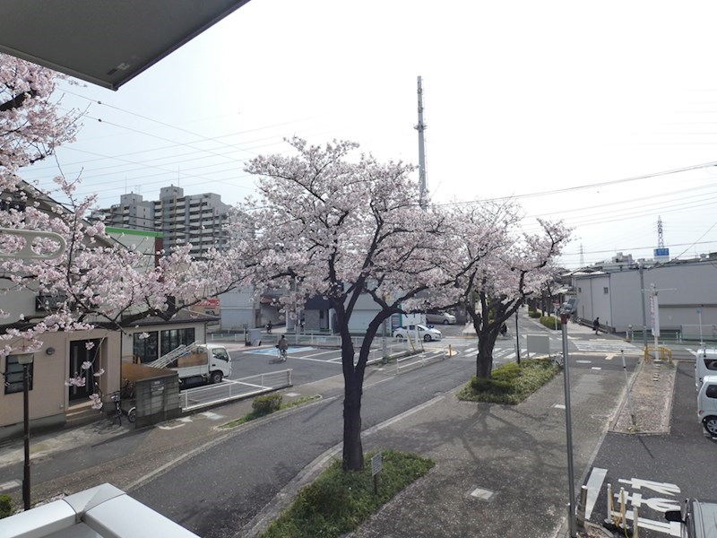 リブリ・かのん その他4