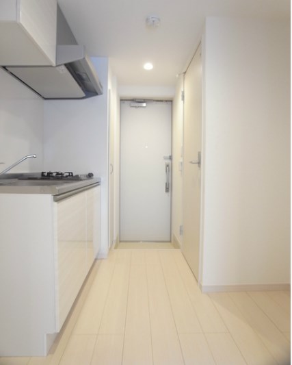 リブリ・ウィスタリアⅡ キッチン